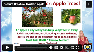 FCT Apple