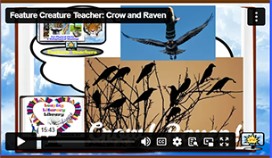FCT Crow and Raven