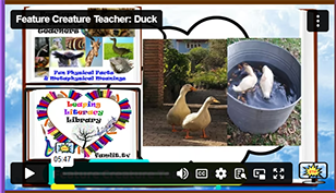 FCT Duck