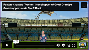 FCT Grasshopper