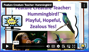 FCT Hummingbird