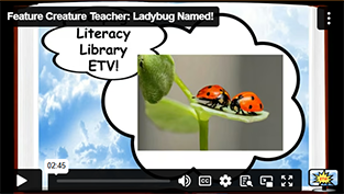 FCT Ladybug Named