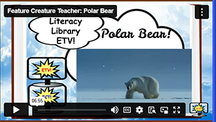 FCT Polar Bear
