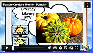 FCT Pumpkin