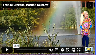 FCT Rainbow