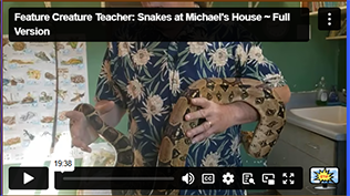 FCT Snake w/Michael
