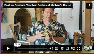 FCT Snake w/Michael