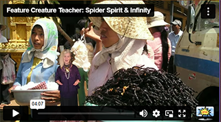 FCT Spider Meyaphysical
