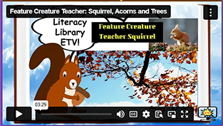FCT Squirrel