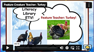 FCT Turkey