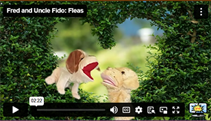 Fred and uncle Fido