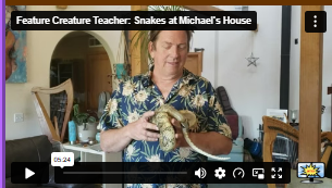 Michael's Snakes