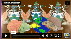 Turtle Convention