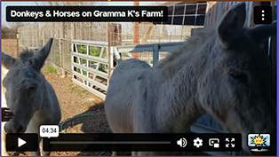Gramma K Gramma K
