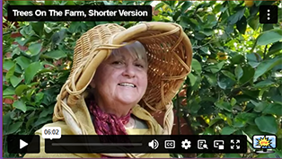 Gramma K