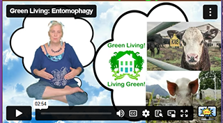 Green Living