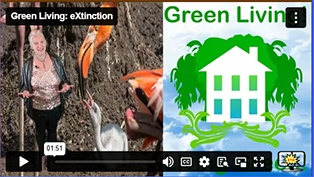 Green Living