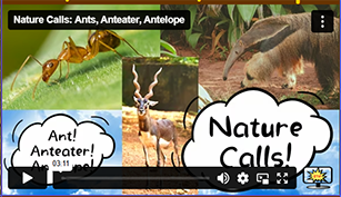 Nature Calls