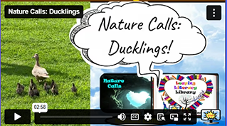 Nature Calls