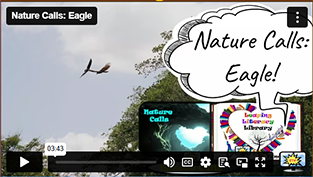 Nature Calls