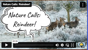 Nature Calls