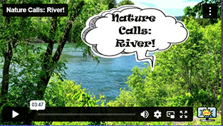 Nature Calls
