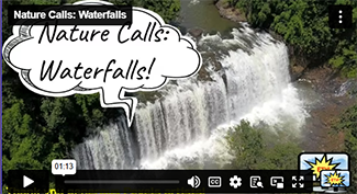 Nature Calls