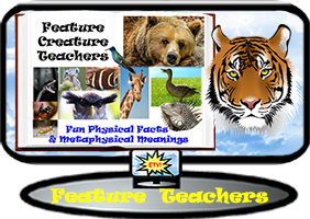 Feature Creature Teachers