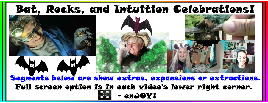 Bat, Rocks, Intuition Celebrations