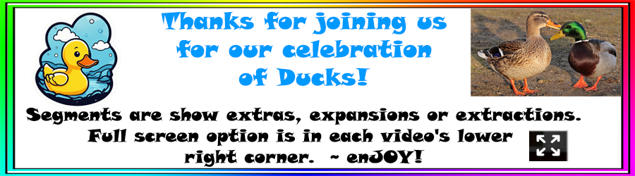 Ducks!