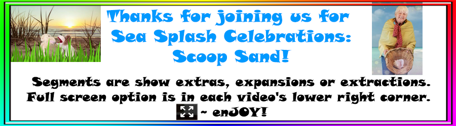 Sea Splash Sand Celebrations Sea Splash Sand Celebrations